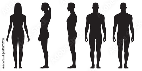 Male and Female Body Silhouettes Front and Side Views, Male Anatomy Diagrams Skeletal, Muscular, and Silhouette Views, human body anatomy, front, back, side view, vector woman and man