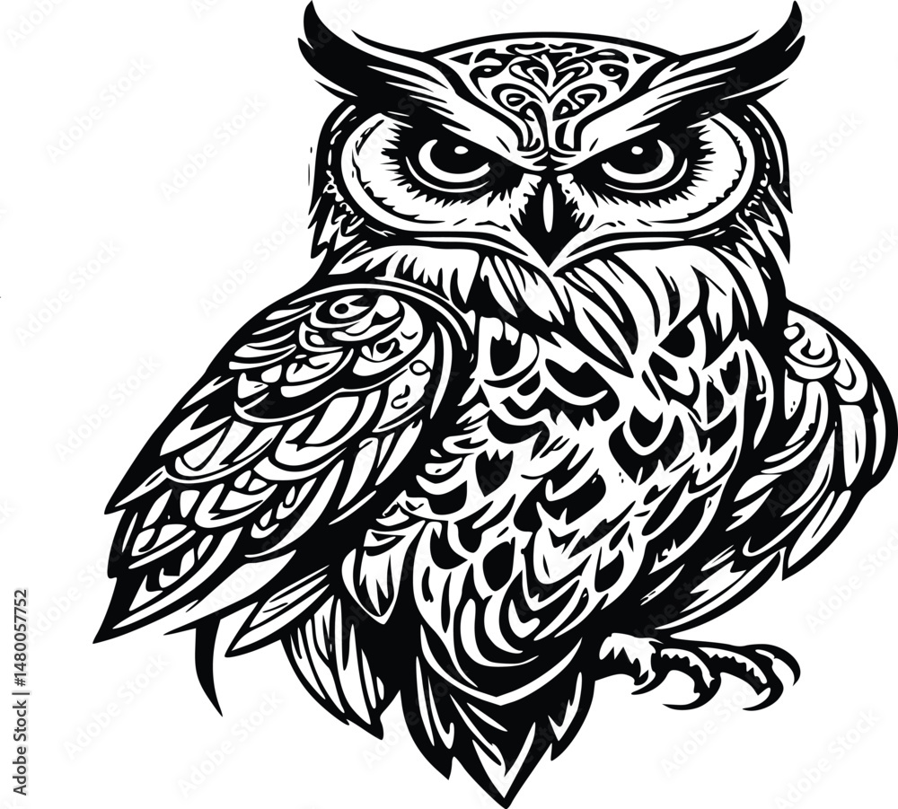 Fototapeta premium owl on a white background