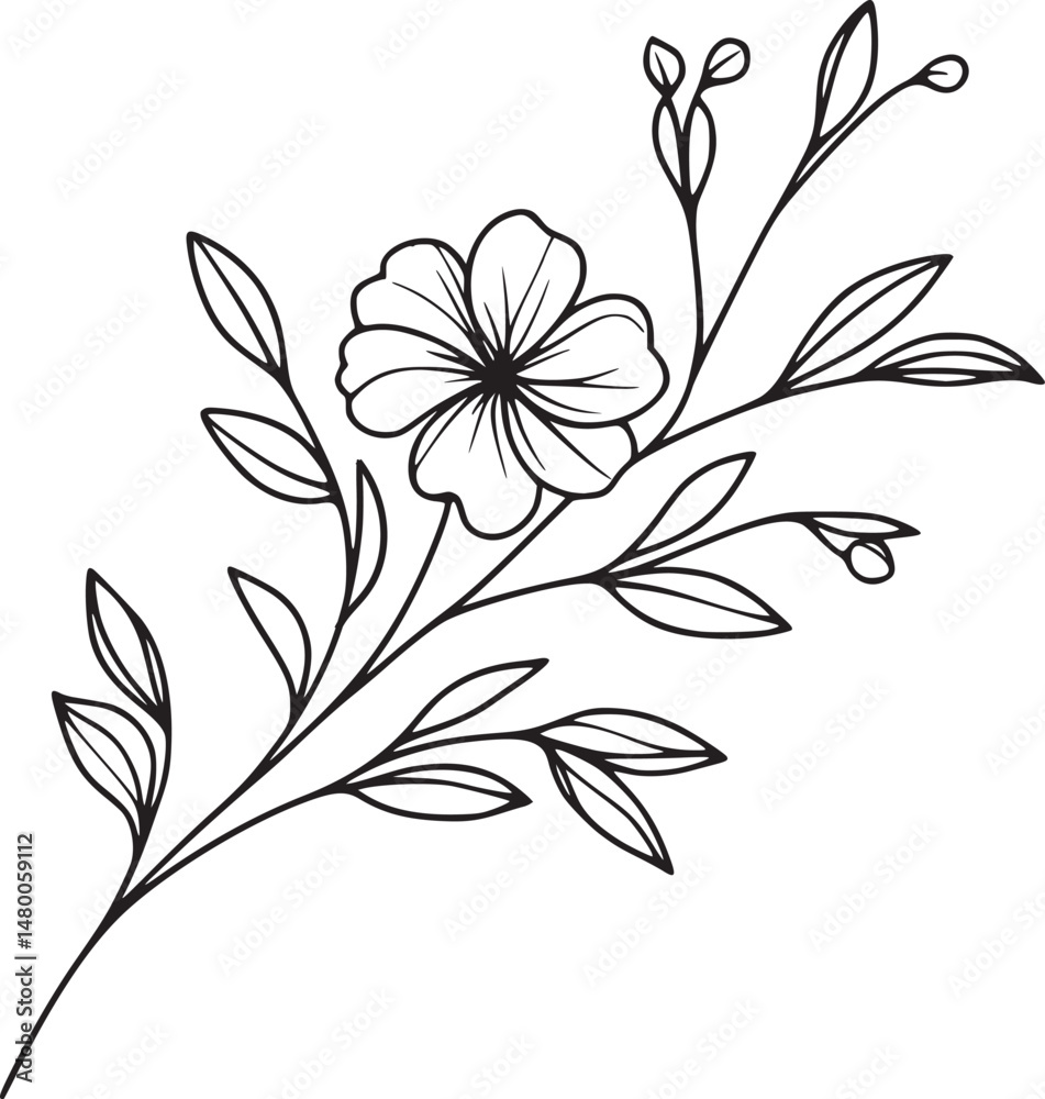 Line drawing of various flowers vector, clipart, transparent, png, element Line drawing of various flowers vector, clipart, transparent, png, element