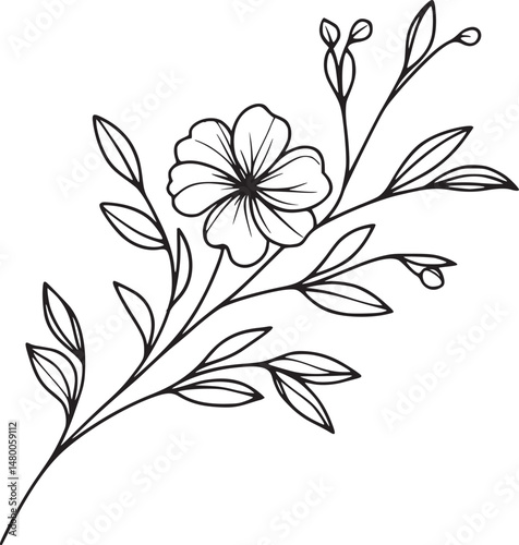 Line drawing of various flowers vector, clipart, transparent, png, element