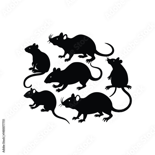vector illustration of a silhouette of a rat on white background.