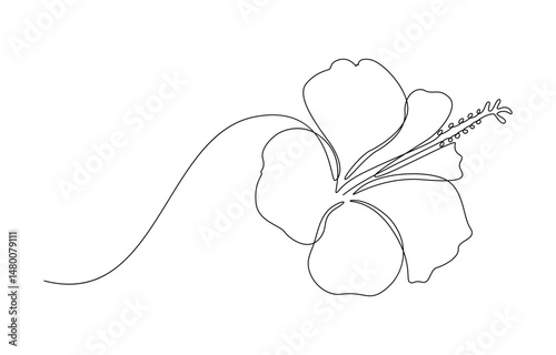 Hibiscus Flower Single Line Drawing,