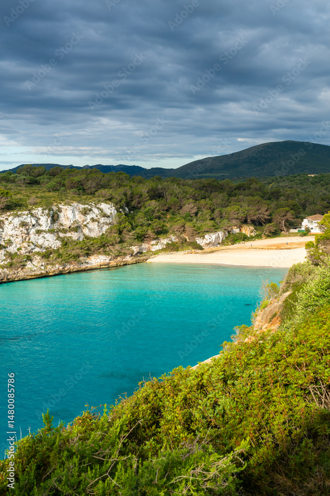 Naklejka premium Turquoise bay with cliffs forest and beach in Mallorca Spain Cala Romantica