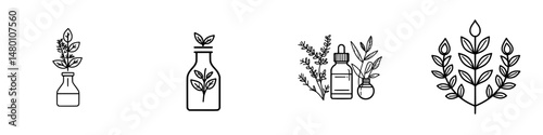 Vector illustration of botanical elements including plants, oils, and jars for natural wellness designs