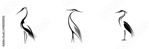 Elegant vector illustrations of three herons in contrasting poses and styles emphasizing their unique features and grace