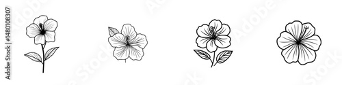 Vector illustration of hibiscus flowers with detailed outlines suitable for various design projects including prints and decor