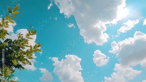 clouds in the sky