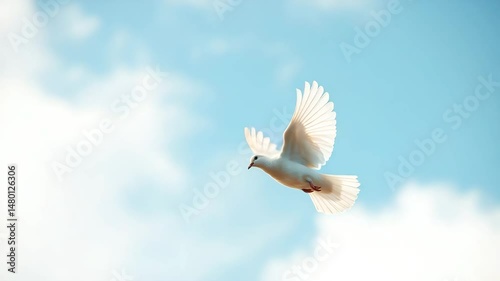 A white dove flies into the sky Symbol of peace Flapping of wings 4K