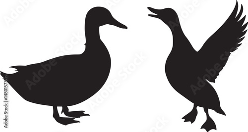 silhouette of a duck