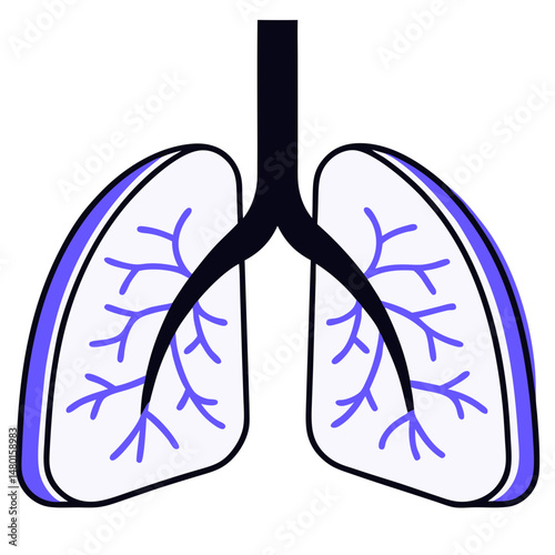 Lung Anatomy Illustration , Detailed Vector of Human Lungs with Branching Bronchi