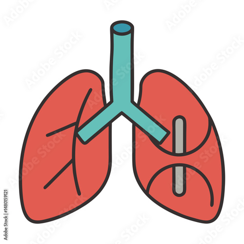 Simplified Vector Illustration of Human Lungs with Airways