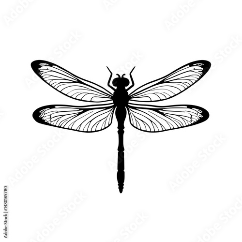 Minimalist black silhouette of a dragonfly with intricate wings on white background
