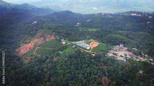 Ariel shot of tea plantations in vagamon, Kerala, India. Vagamon is a hill station located in Kottayam- Idukki border of Kerala	
