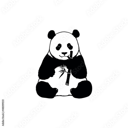 panda bear with a bamboo