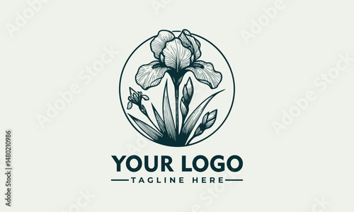 Elegant Line Art Illustration of an Iris Flower with Graceful Petals and Detailed Stem. Floral Design Concept