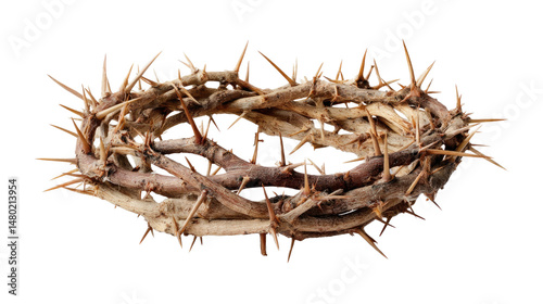 Crown of Thorns: Symbolizing strength and sacrifice, this image presents a realistic crown of thorns. Crafted with intricate detail, it evokes themes of suffering, spirituality, and resilience.