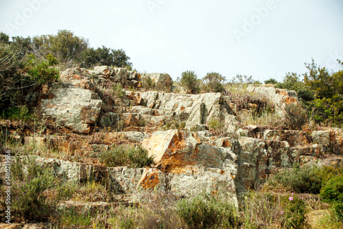 view of rocky field wtih bushes and trees in the spring