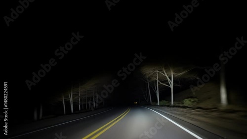 Night Drive on Rural Road with Car Headlights
