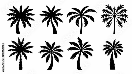 palm trees silhouettes