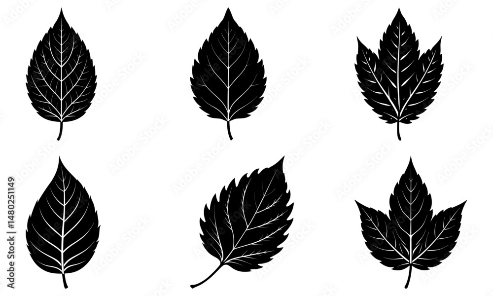 Fototapeta premium Ash Leaf Silhouette vector illustration