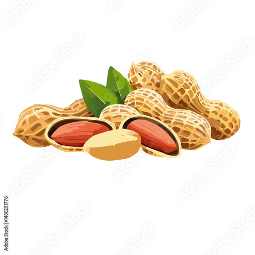 peanuts on white background with green leaves vector graphic design