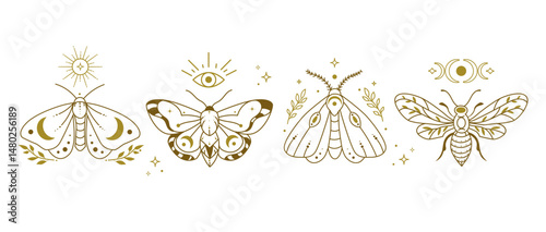 Boho Insect Mystical Moth and Butterfly Line Art Illustrations set with Celestial Symbols. Logo, print, tattoos, branding, packaging,icons, posters, stickers, spiritual design Vector illustration