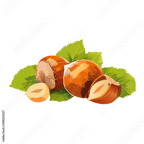 hazelnut on white background with green leaves vector graphic design