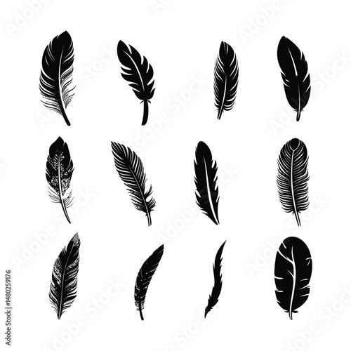 Feather Silhouette Icon Set Black on White Background