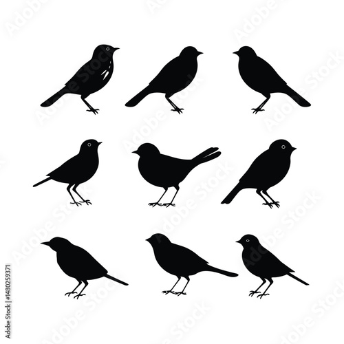 Lark Bird Silhouette Clipart Set Black on White Background