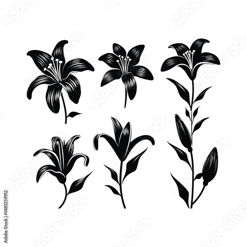Lily Flower Silhouette Clipart Set Black on White Background