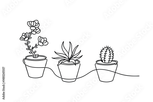 Minimalist line art illustration of three different plants in pots for decor