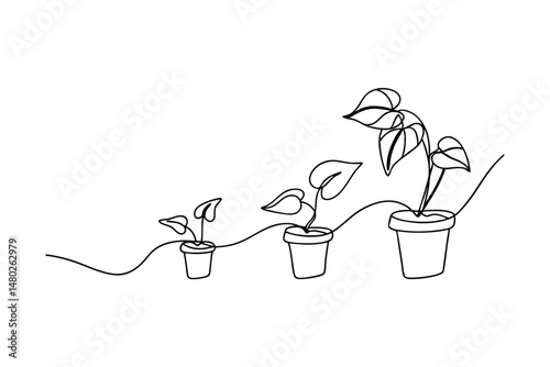 Continuous line drawing of plant growth stages showing development in a modern style