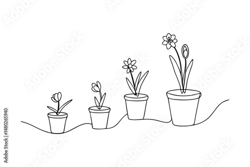 Minimalist line art depicting plant growth stages of flowers in different pots