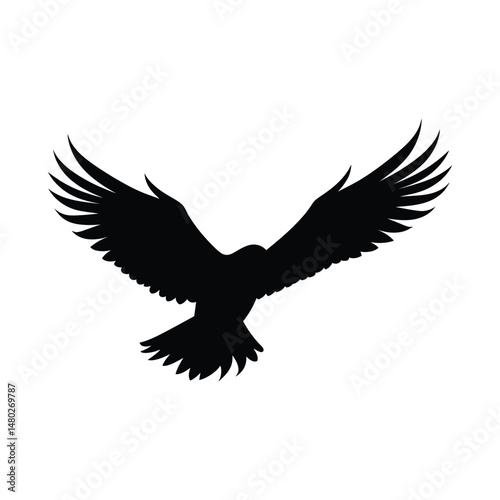 Hawk Bird Silhouette Clipart on White Background