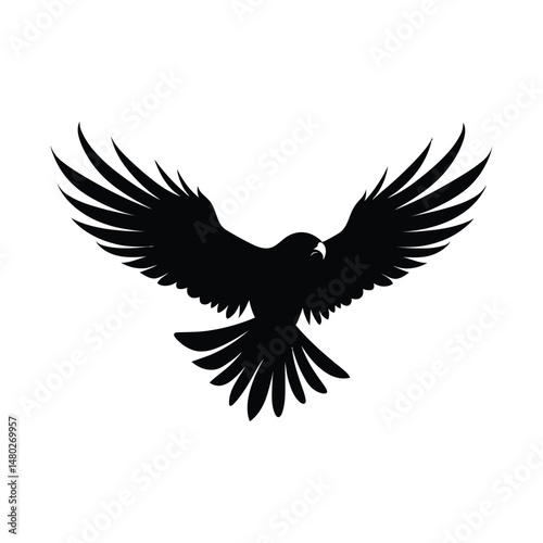 Hawk Bird Silhouette Clipart on White Background