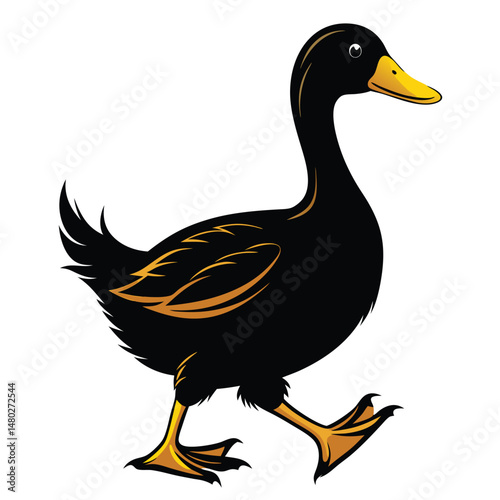 Walking black duck vector illustration featuring gold accents on feathers and feet on a pure white background