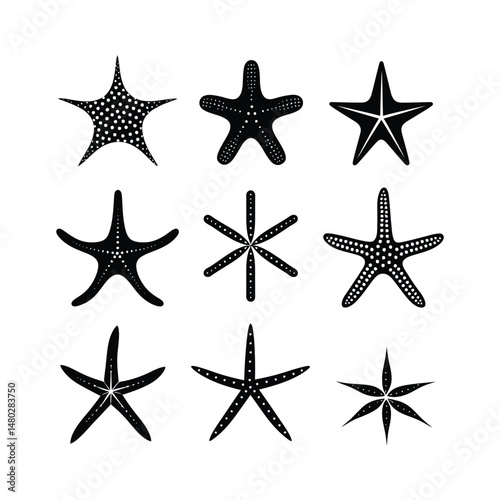 Starfish Set Silhouette Clipart on a White Background