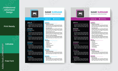 Professional unique resume design template
