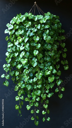 Hanging greenery cascading photo