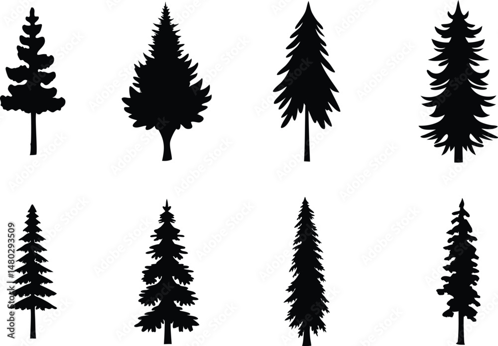 Fototapeta premium Pine tree vector collection, pine silhouette, black color vector.