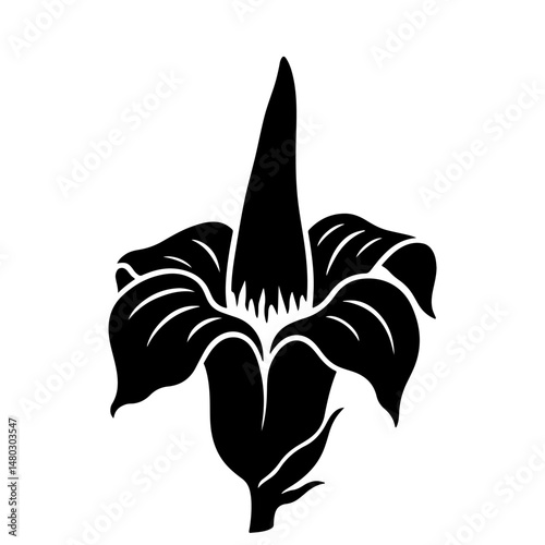 Black silhouette of a Titan Arum flower. Vector illustration. Isolated on white background.