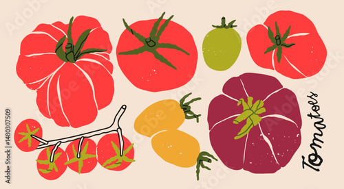 Various fresh, juicy tomatoes set. Whole red, green, black tomatoes, cherry tomatoes on a branch. Hand drawn modern Vector illustration. Isolated design elements. Healthy, natural food concept