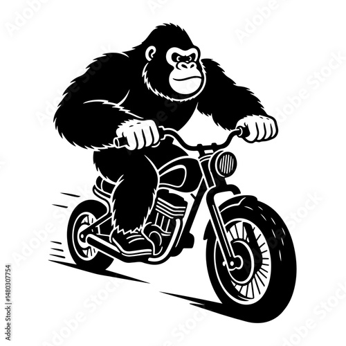 A powerful gorilla rides a custom chopper motorcycle at high speed. Black and white vector illustration.