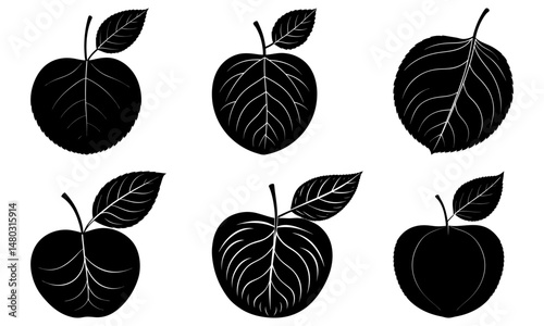 Apple Leaf Silhouette vector illustration