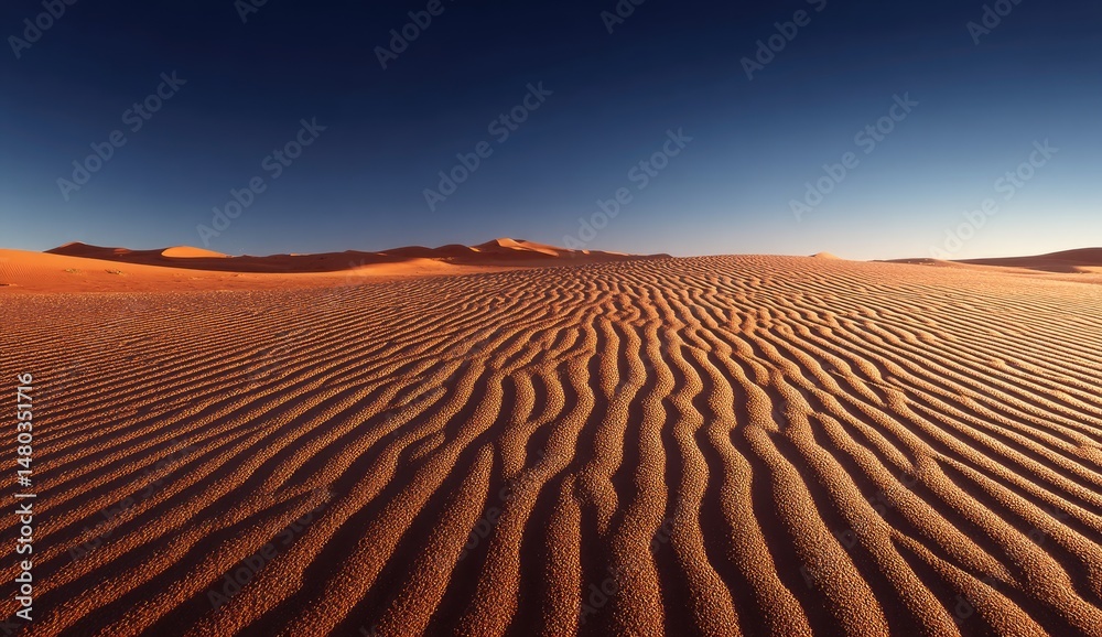 Vast desert landscape at sunrise Vast desert landscape at sunrise