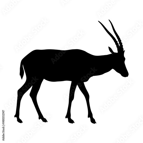 Silhouette of a standing addax antelope vector illustration for wildlife and nature designs and graphics