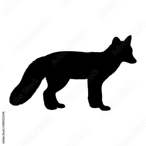 Black fox silhouette vector illustration wildlife animal canidae mammal predator hunting design art