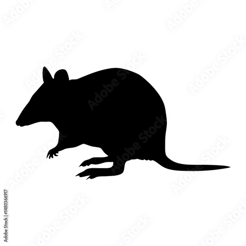Discover the silhouette of a bandicoot animal vector image for wildlife and nature enthusiasts design needs