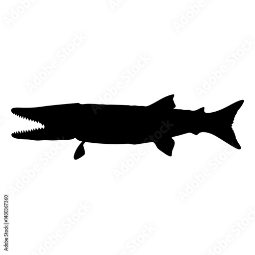 Discover the northern pike fish silhouette vector image predatory freshwater species design art