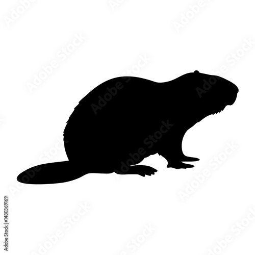 Beaver silhouette vector image of wildlife animal rodent in black color for design and artwork use